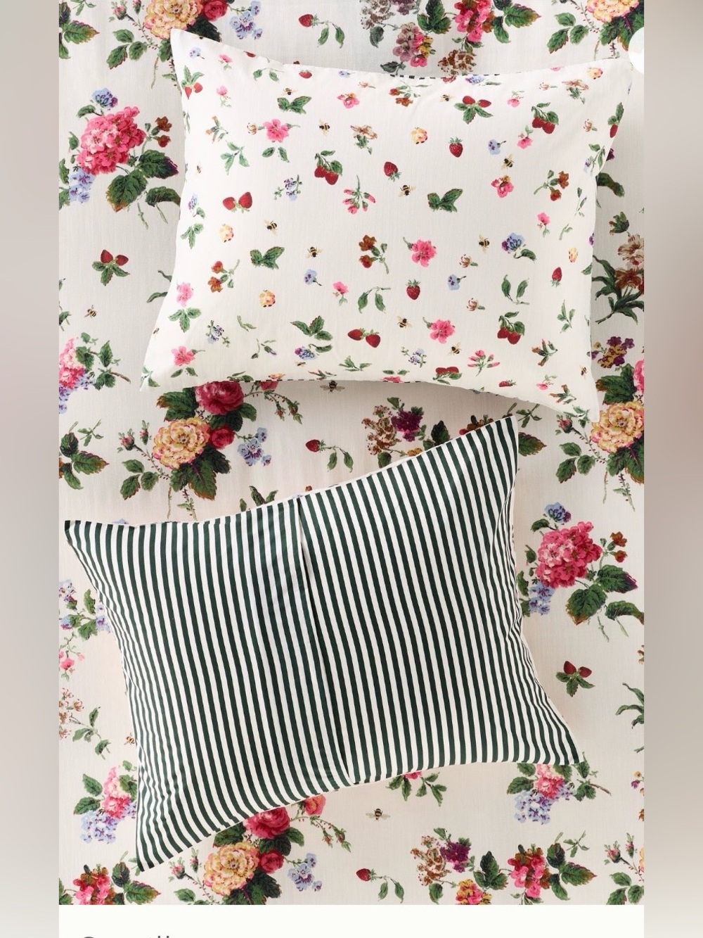 ▪️NWT Anthropologie The Printed Cotton-Slub Pillow Shams, Set of 2